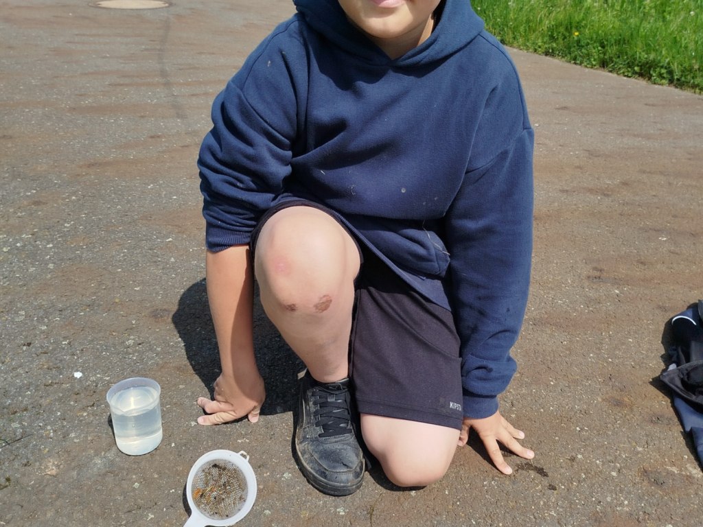 Venkovní výuka  5