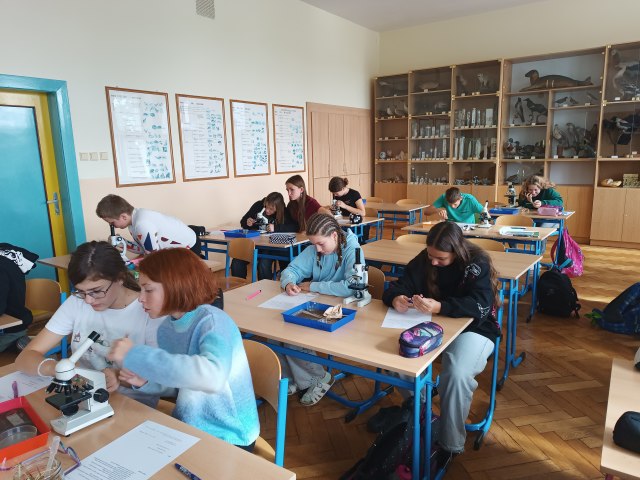 mikroskopování 2