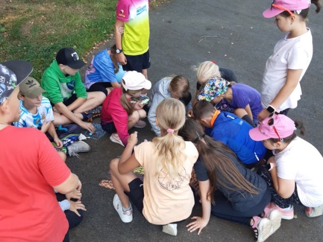 Cvičení v přírodě 4.B 3