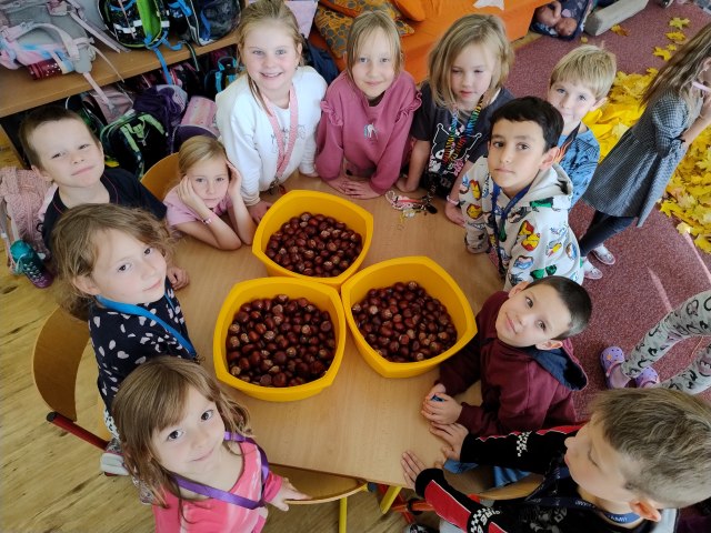 Družina  - Tajemství lesa 5