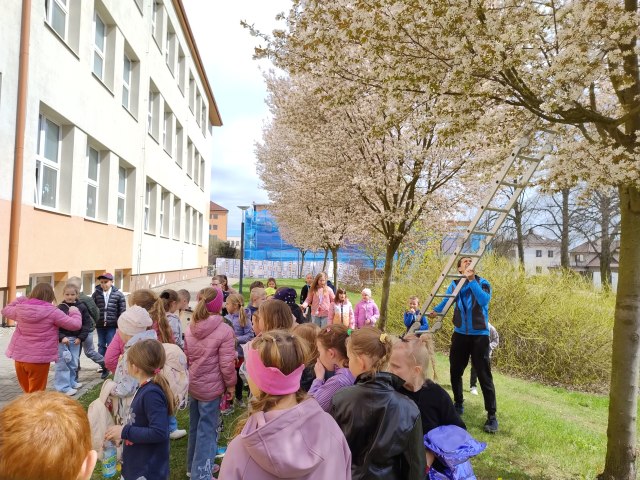 Družina - Instalace ptačích budek 3