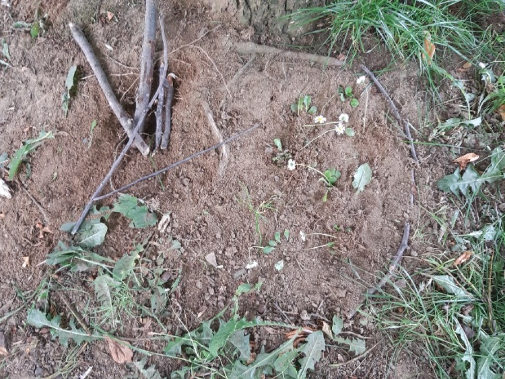 Jarní cvičení v přírodě 4.B 24