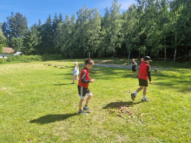 Cvičení v přírodě 5.B 1