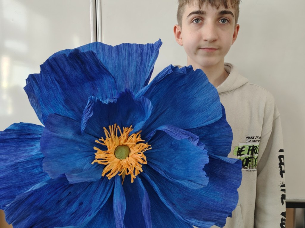 megakytky 19