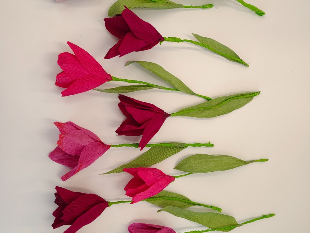 tulipány 5