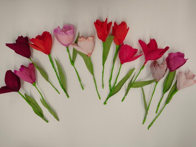 tulipány 1