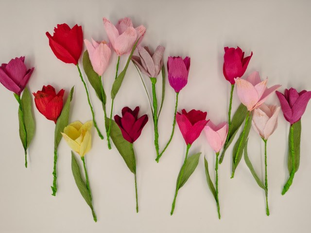 tulipány 3
