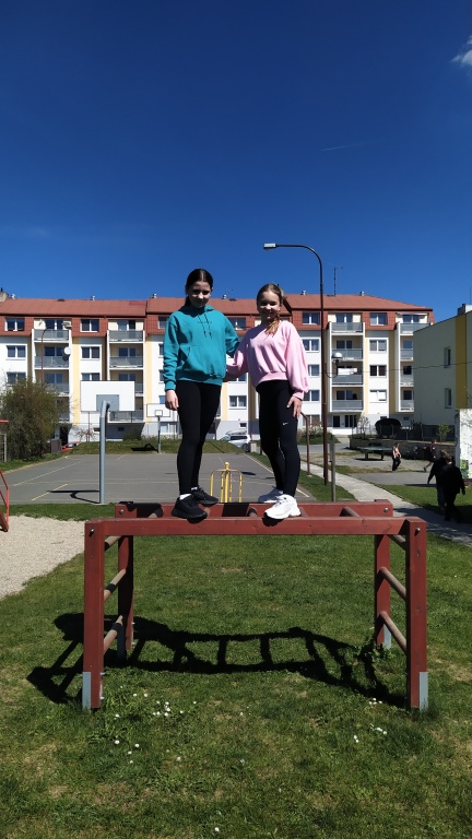 IMG 20260424 115658 11